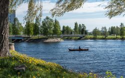 Kalastaja kalastaa Oulujoella